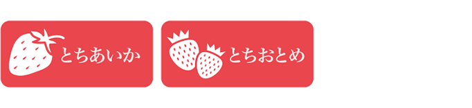 とちあいか、とちおとめ